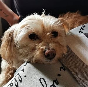 Meet your Posher, Gail